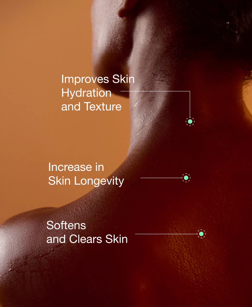 Faucet + Diamond Series Shower Filter Bundle - Image 26